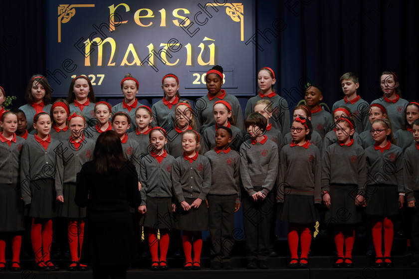 Feis12042018Thu14 
 12~16
St. Lukes Primary School singing Someday and Railway Carriage.
 Singing Class: 84: The Sr. M. Benedicta Memorial Perpetual Cup Primary School Unison Choirs Section 1 Feis Maiti 92nd Festival held in Fr. Mathew Hall. EEjob 28/03/2018 Picture: Gerard Bonus