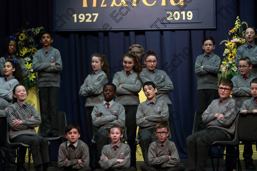 Feis27032019Wed19 
 17~20
Brooklodge NS Glanmire performing Daddy Fell Into The Pond.

Choral Speaking Class: 475: The Curran Memorial Perpetual Cup 5thClass (a) The Dragon Who Ate Our School Nick Toczek (b) Own Choice.
Class: 477: The Catherine Mahon Perpetual Cup 3rdClass (a) Queue for the Zoo Clare Bevan. (b) Own Choice.

Feis Maiti 93rd Festival held in Fr. Mathew Hall. EEjob 27/03/2019. Picture: Gerard Bonus