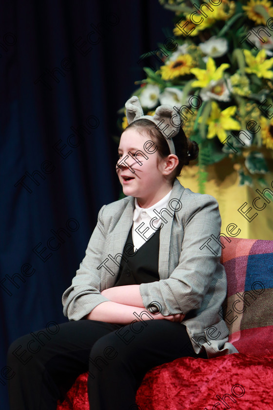 Feis14032019Thu07 
 7
Sarah ODonovan performing a scene from Wind in the Willows.

Class: 328: The Fr. Nessan Shaw Memorial Perpetual Cup Dramatic Solo 10YearsandUnder Section 2 A Solo Dramatic Scene not to exceed 4 minutes.

Feis Maiti 93rd Festival held in Fr. Mathew Hall. EEjob 14/03/2019. Picture: Gerard Bonus.