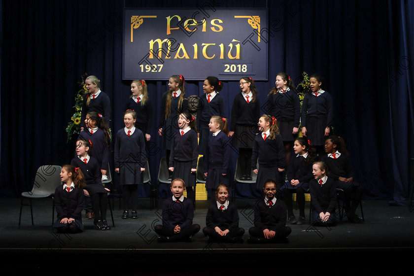 Feis23022018Fri29 
 15~31
St. Vincents 4th Class performing.
 Speech and Drama Class: 476: The Peg OMahony Memorial Perpetual Cup Choral Speaking 4th Class Feis Maiti 92nd Festival held in Fr. Mathew Hall. EEjob 23/02/2018 Picture: Gerard Bonus.