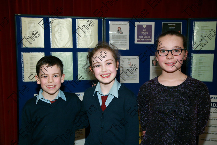 Feis21022018Wed47 
 47
Stephen Holms from Ovens supporting his sister Kellie Anne who performed The Examination and Martha Scully from Douglas.
 Speech and Drama Class: 327: The Hartland Memorial Perpetual Trophy Dramatic Solo12 years and under section 3 Feis Maiti 92nd Festival held in Fr. Mathew Hall, EEjob 21/02/2018 Picture: Gerard Bonus.