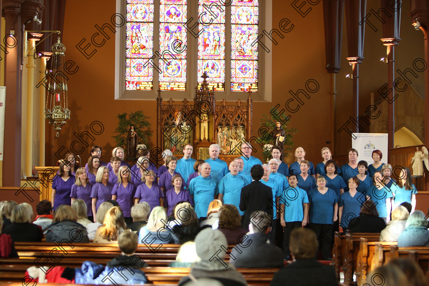 Feis04022018Sun51 
 49~57
Scrubs Choir conducted by Patrick Dalton.
 Holy Trinity Capuchin Church Adult Choirs Class: 78: The Lynch Memorial Perpetual Cup Adult Vocal Choirs Two Contrasting Songs Feis Maiti 92nd Festival held in Fr. Matthew Hall. EEjob 02/02/2018 Picture: Gerard Bonus.