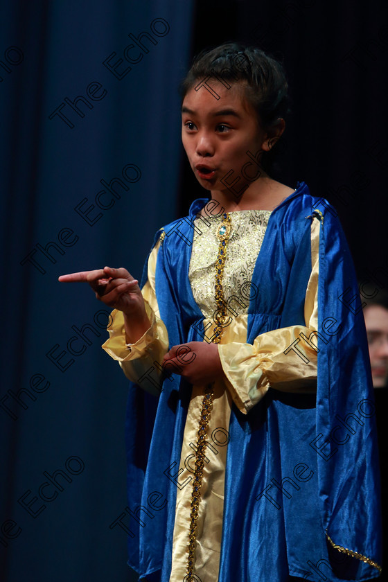 Feis01032019Fri31 
 31
3rd place performance from Jilliane Valdez from Montenotte singing Shy from Once Upon A Mattress.

Class: 114: The Henry OCallaghan Memorial Perpetual Cup Solo Action Song 10 Years and Under Section 2 An action song of own choice.

Feis Maiti 93rd Festival held in Fr. Mathew Hall. EEjob 01/03/2019. Picture: Gerard Bonus