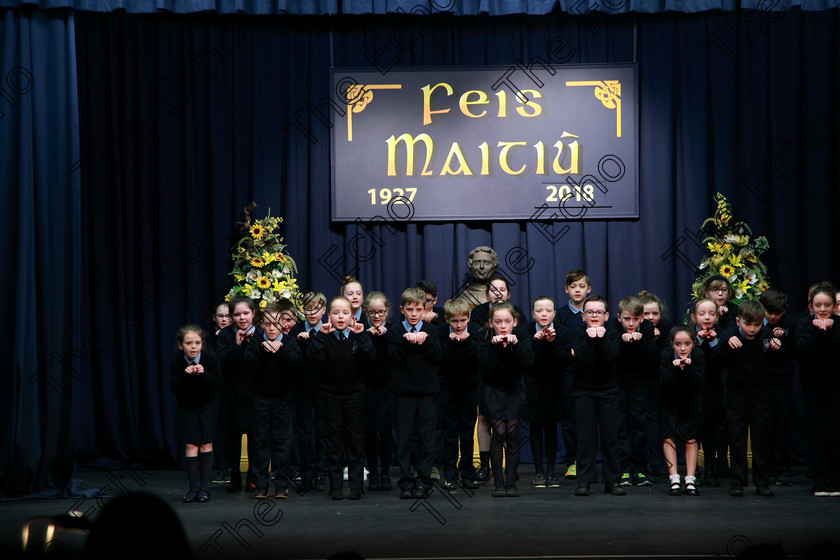 Feis13032018Tue12 
 11~13
Rathpeacon NS.4th Class performing The Day The Telly Broke Down as their own choice 
 Speech and Drama Class: 3rd & 4th Class Primary Schools, Action Verse Feis Maiti 92nd Festival held in Fr. Mathew Hall. EEjob 13/03/2018 Picture: Gerard Bonus.