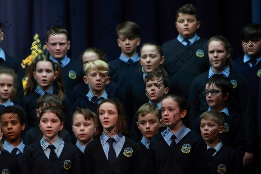 Feis28022019Thu19 
 17~21
Scoil Naomh Fionn. Rennies singing Mama Mia.

Class: 84: The Sr. M. Benedicta Memorial Perpetual Cup Primary School Unison ChoirsSection 1Two contrasting unison songs.

Feis Maiti 93rd Festival held in Fr. Mathew Hall. EEjob 28/02/2019. Picture: Gerard Bonus