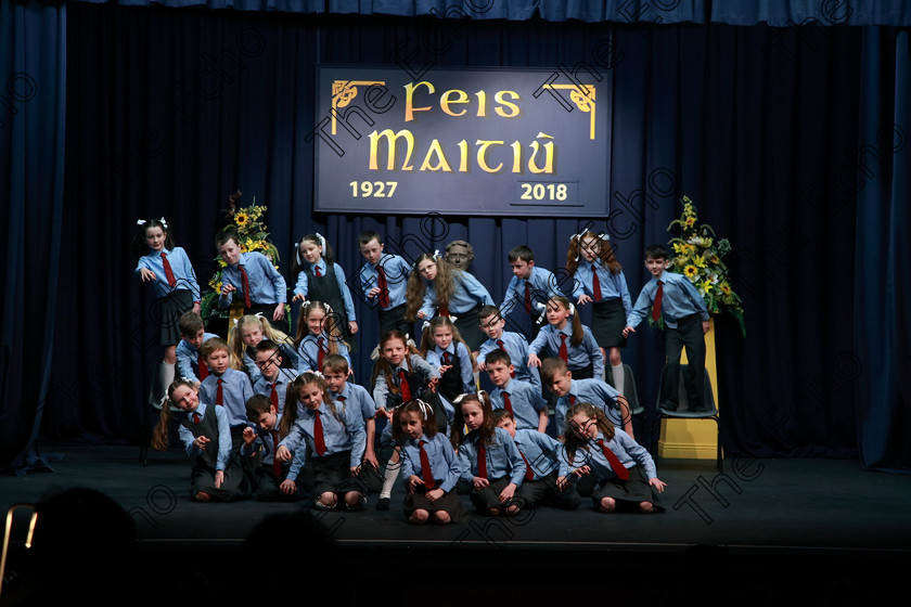 Feis13032018Tue30 
 27~30
Ovens NS 3rd Class performing Great Gran Is Manic on Her Motorbike as their own choice.
 Speech and Drama Class: 3rd & 4th Class Primary Schools, Action Verse Feis Maiti 92nd Festival held in Fr. Mathew Hall. EEjob 13/03/2018 Picture: Gerard Bonus.