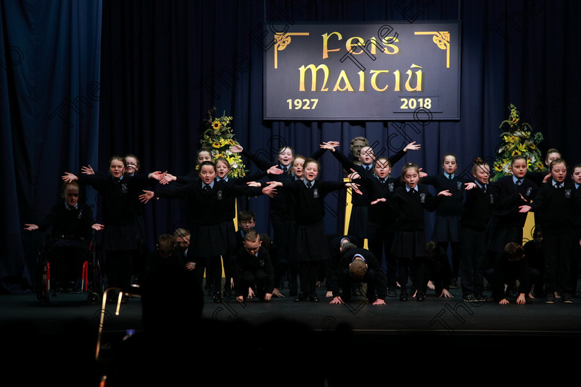 Feis13032018Tue26 
 25~26
Rathpeacon NS.3rd Class performing Daddy Fell into the Pond as their own choice. 
 Speech and Drama Class: 3rd & 4th Class Primary Schools, Action Verse Feis Maiti 92nd Festival held in Fr. Mathew Hall. EEjob 13/03/2018 Picture: Gerard Bonus.