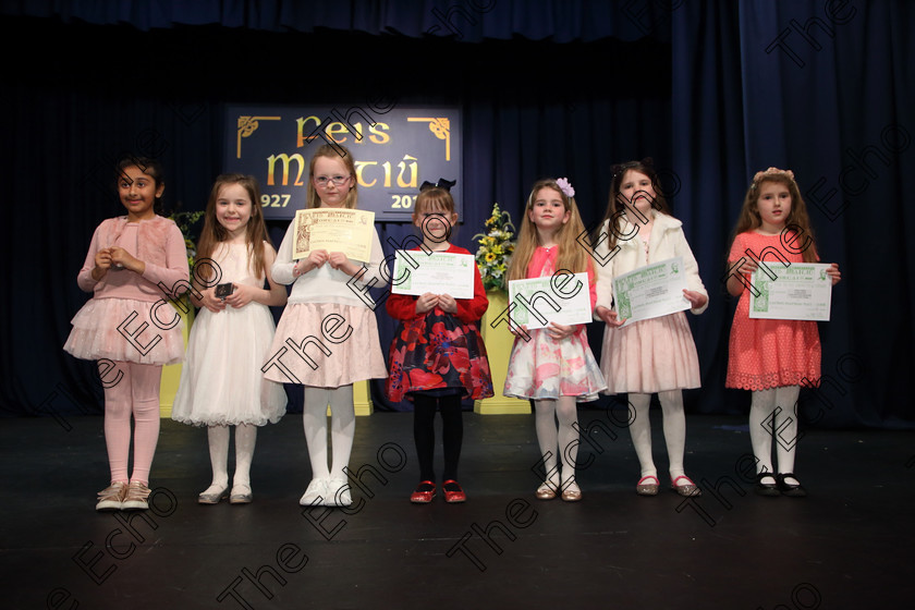 Feis31032019Sun44 
 44
Winners of Class 369: Solo Verse Speaking Girls 6 Years and Under.

Class: 369: Solo Verse Speaking Girls 6 Years and Under Section 3 Either Ice Cone Island Bernard Lodge or Night Fright Marian Swinger.

Feis Maiti 93rd Festival held in Fr. Mathew Hall. EEjob 31/03/2019. Picture: Gerard Bonus