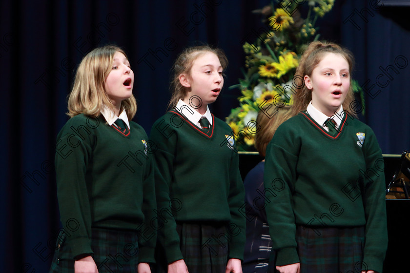 Feis08022019Fri24 
 24~26
Cashel Community School singing Little Spanish Town conducted by Ashlee Hally.

Class: 88: Group Singing The Hilsers of Cork Perpetual Trophy 16 Years and Under

Feis Maiti 93rd Festival held in Fr. Matthew Hall. EEjob 08/02/2019. Picture: Gerard Bonus