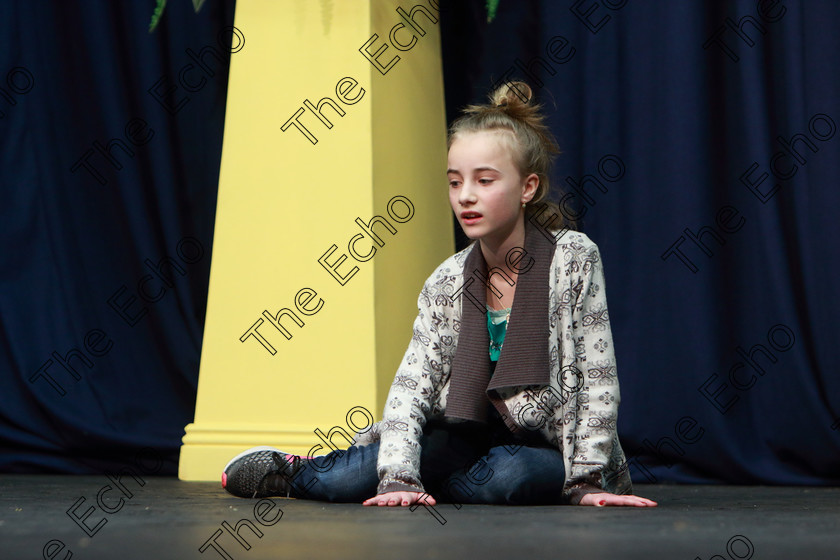 Feis14032019Thu12 
 12
Amy performing Born To Perform

Class: 328: The Fr. Nessan Shaw Memorial Perpetual Cup Dramatic Solo 10YearsandUnder Section 2 A Solo Dramatic Scene not to exceed 4 minutes.

Feis Maiti 93rd Festival held in Fr. Mathew Hall. EEjob 14/03/2019. Picture: Gerard Bonus.