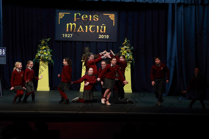 Feis13032019Wed15 
 15~19
Timoleague National School performing.

Feis Maiti 93rd Festival held in Fr. Mathew Hall. EEjob 13/03/2019. Picture: Gerard Bonus. 
Class: 486Action Verse The William OSullivan Memorial Perpetual Cup4thClass (a) Skeleton House Laurence Smith (b) Own Choice.1