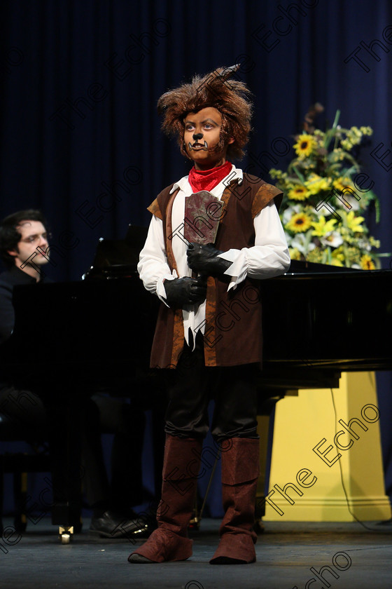 Feis06032018Tue30 
 30
Rian Lynch giving a Bronze Medal performance of If I Cant Love Her from Beauty and The Beast with Accompanist, Tom Doyle.
 Singing and School Choirs Class: 24: The David OBrien and Frances Reilly Perpetual Trophy Musical Theatre 16 Years and Under Section 1 Feis Maiti 92nd Festival held in Fr. Mathew Hall. EEjob 06/03/2018 Picture: Gerard Bonus.