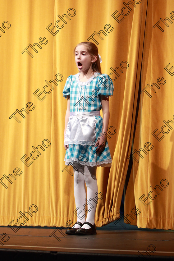 Feis14032019Thu14 
 14
Cliona Murphy from Ovens giving a Commended performance of Alice In Wonderland

Class: 328: The Fr. Nessan Shaw Memorial Perpetual Cup Dramatic Solo 10YearsandUnder Section 2 A Solo Dramatic Scene not to exceed 4 minutes.

Feis Maiti 93rd Festival held in Fr. Mathew Hall. EEjob 14/03/2019. Picture: Gerard Bonus.