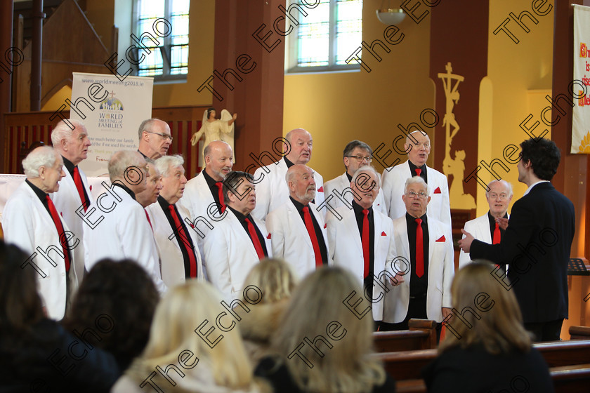 Feis04022018Sun60 
 58~60
Polyphonics Chorus conducted by Patrick Dalton.
 Holy Trinity Capuchin Church Adult Choirs Class: 78: The Lynch Memorial Perpetual Cup Adult Vocal Choirs Two Contrasting Songs Feis Maiti 92nd Festival held in Fr. Matthew Hall. EEjob 02/02/2018 Picture: Gerard Bonus.