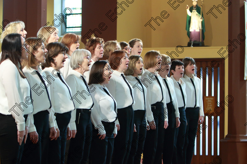 Feis0302109Sun36 
 34~38
Douglas Harmonia singing Song Bird and The Blessing Conducted by Lorna Moore.

Class: 79: The Holy Trinity Perpetual Cup Chamber Choirs Two Contrasting Songs.

Feis Maiti 93rd Festival held in Fr. Matthew Hall. EEjob 03/02/2019. Picture: Gerard Bonus.