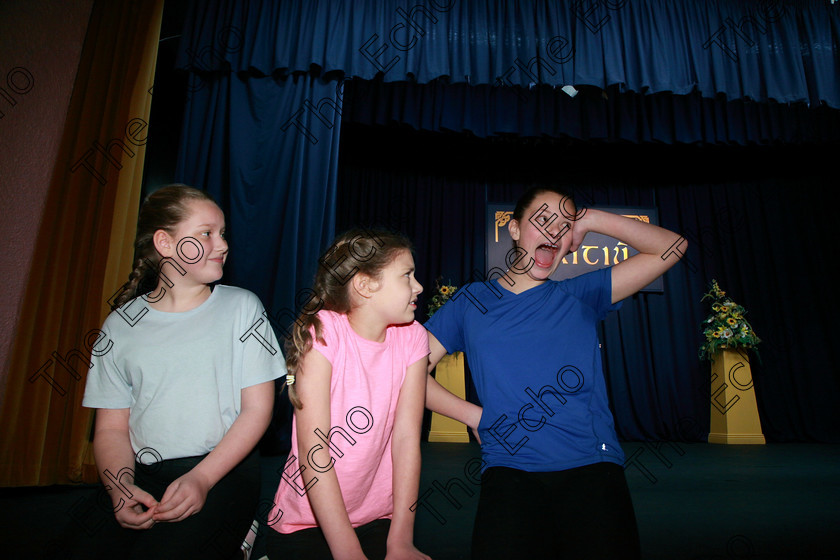 Feis16022018Fri02 
 2
Chloe Hickey Bell, Aoife OSullivan and Sophia OShea from Tara Ellis Stage School performing Behind the Blue Door
 Speech and Drama section 1 Class: 343: Group Improvisation 13YearsandUnder
Feis Maiti 92nd Festival held in Fr. Mathew Hall. EEjob 16/02/2018 Picture: Gerard Bonus.