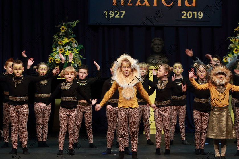 Feis12022019Tue19 
 17~24
Timoleague NS performing extracts from The Lion King.

Class: 104: The Pam Golden Perpetual Cup Group Action Songs -Primary Schools Programme not to exceed 8 minutes.

Feis Maiti 93rd Festival held in Fr. Mathew Hall. EEjob 12/02/2019. Picture: Gerard Bonus