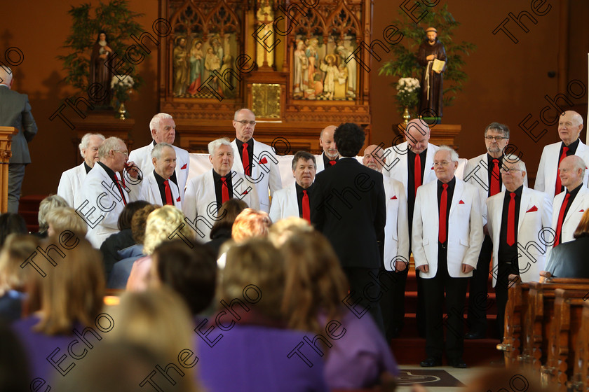 Feis04022018Sun58 
 58~60
Polyphonics Chorus conducted by Patrick Dalton.
 Holy Trinity Capuchin Church Adult Choirs Class: 78: The Lynch Memorial Perpetual Cup Adult Vocal Choirs Two Contrasting Songs Feis Maiti 92nd Festival held in Fr. Matthew Hall. EEjob 02/02/2018 Picture: Gerard Bonus.